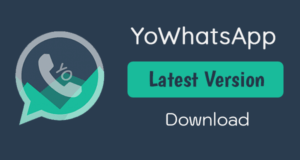 yowhatsapp v8.95